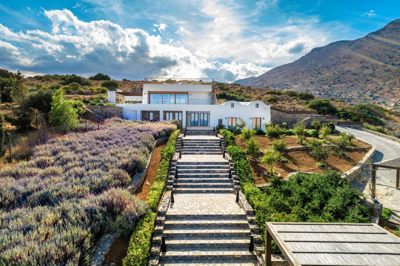 Lavender Villa