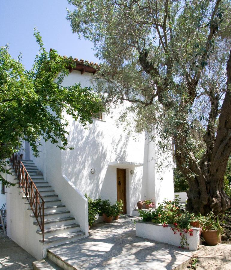 Alexandra Skiathos *