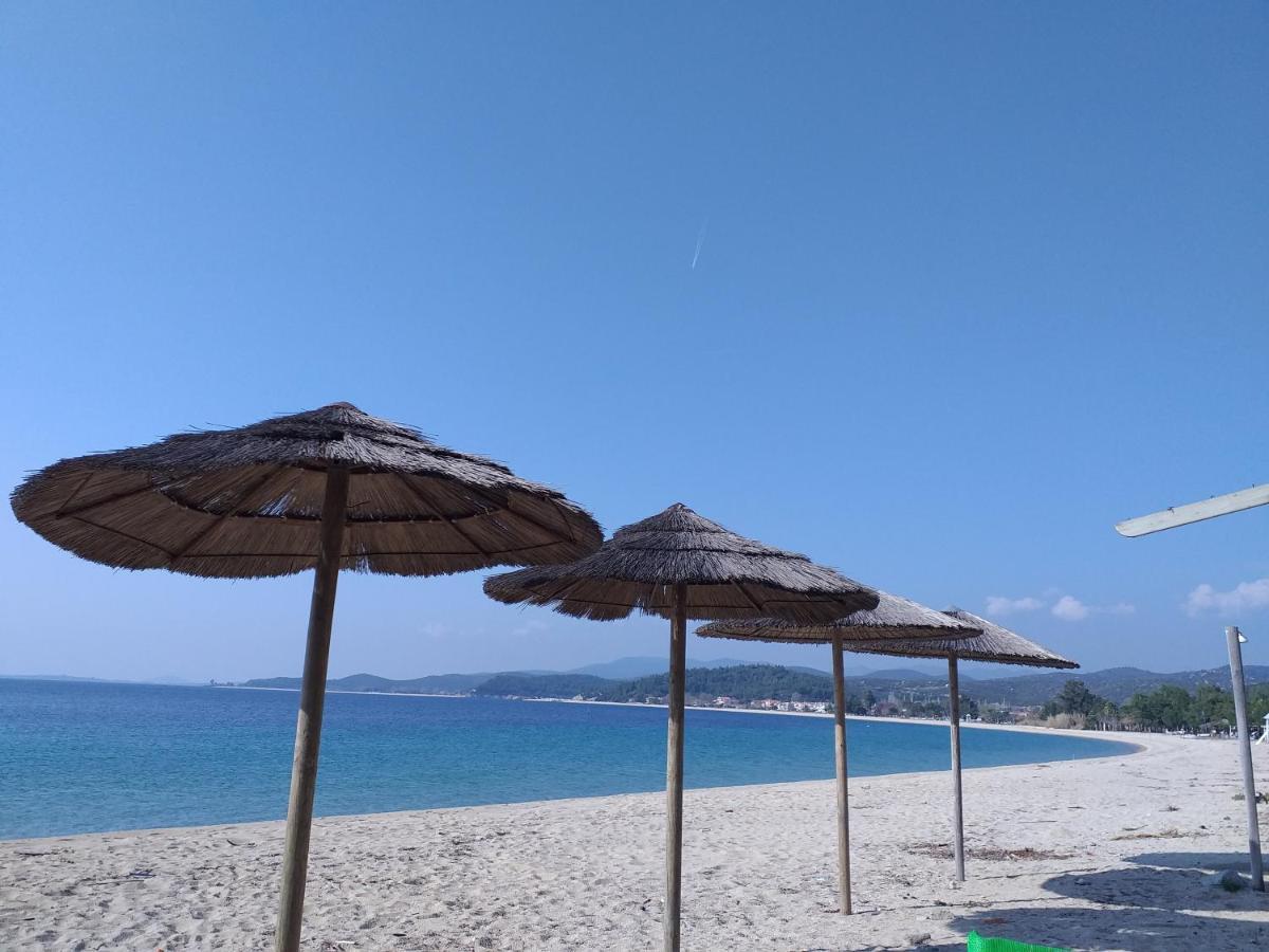 Apartment Porto κoufo Halkidiki Porto Koufo