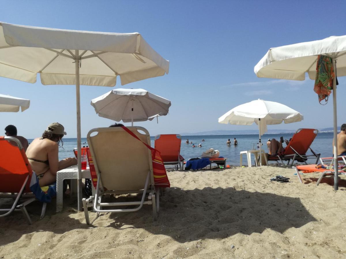 Apartment Aktis Sea View *
