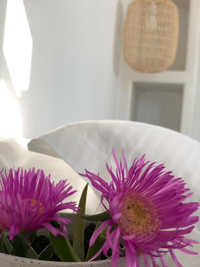 Harmony Luxury Naxos *