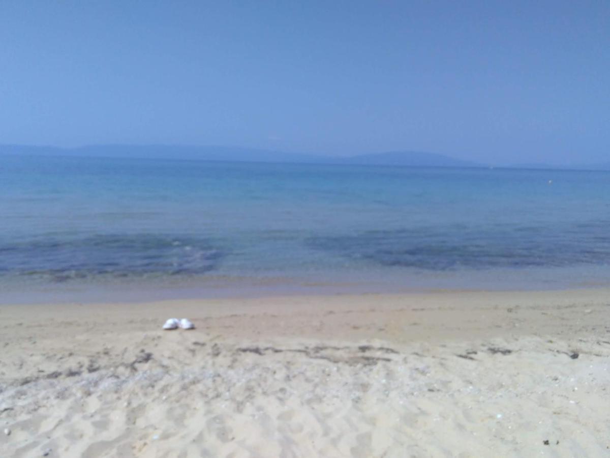 Adam's House 2019 Holiday home Kariani
