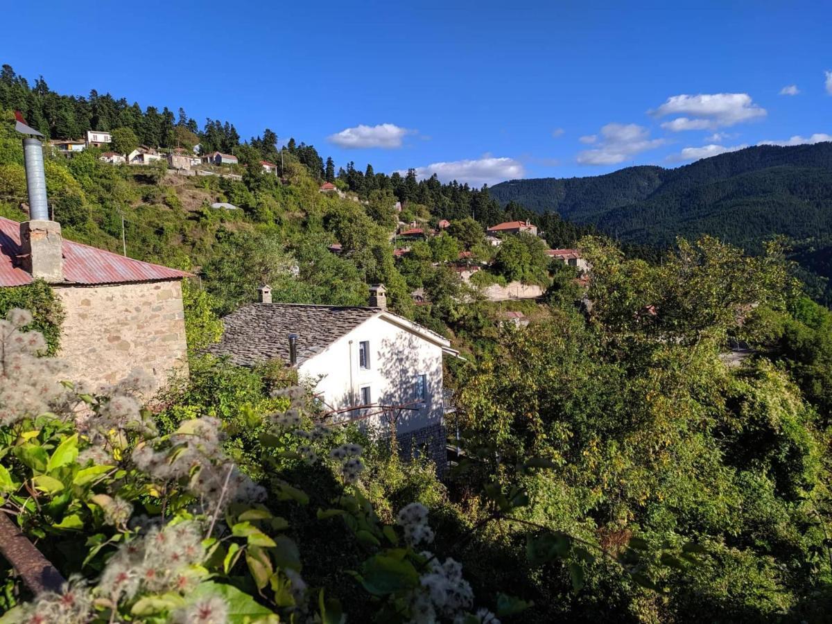 Petrameli *