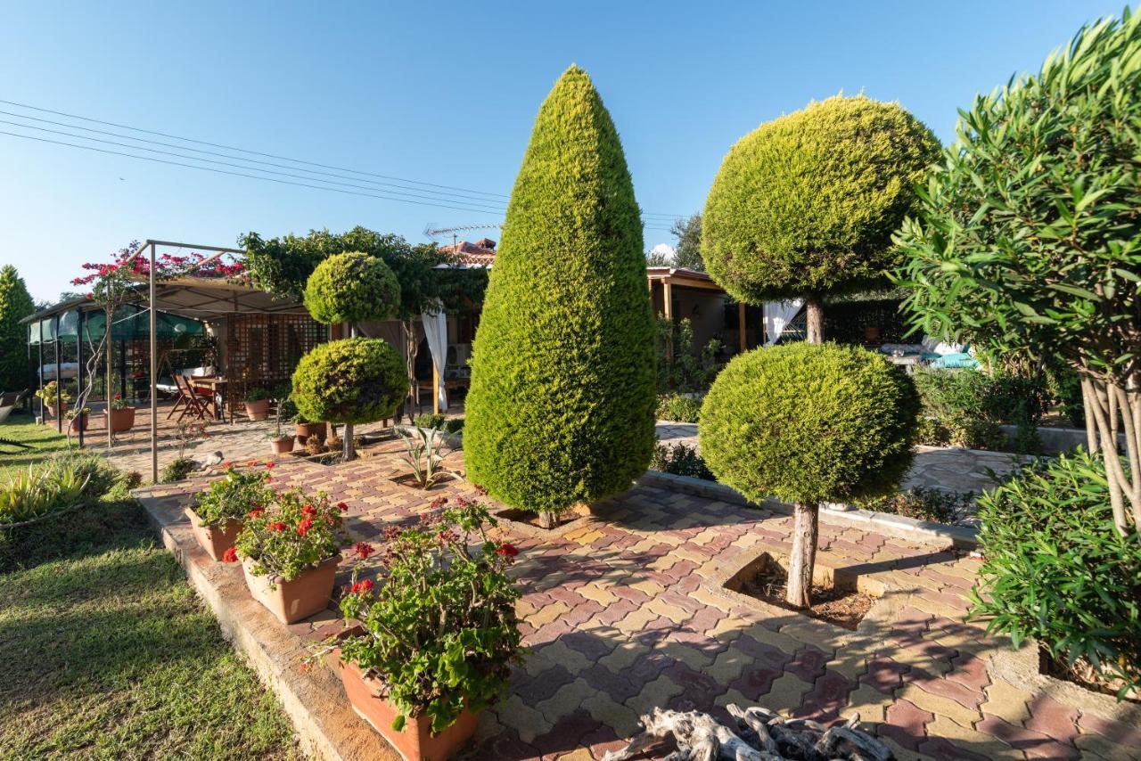 Olives House * Vromonerion
