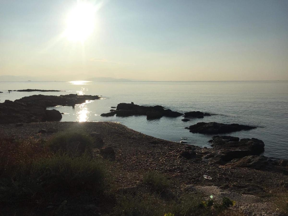 Yoga Euphoria Seaside Artemida (Attica)