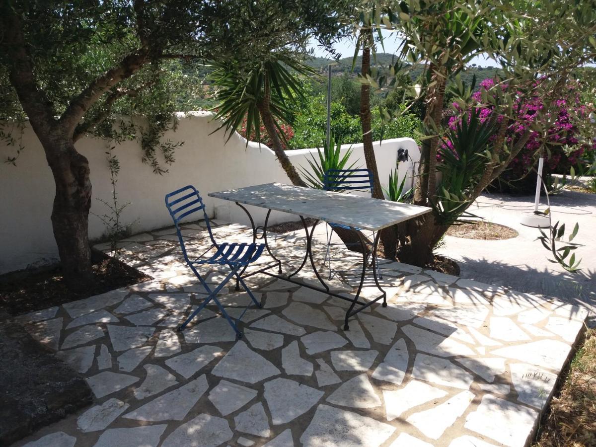 Lemon Tree * Finikounta