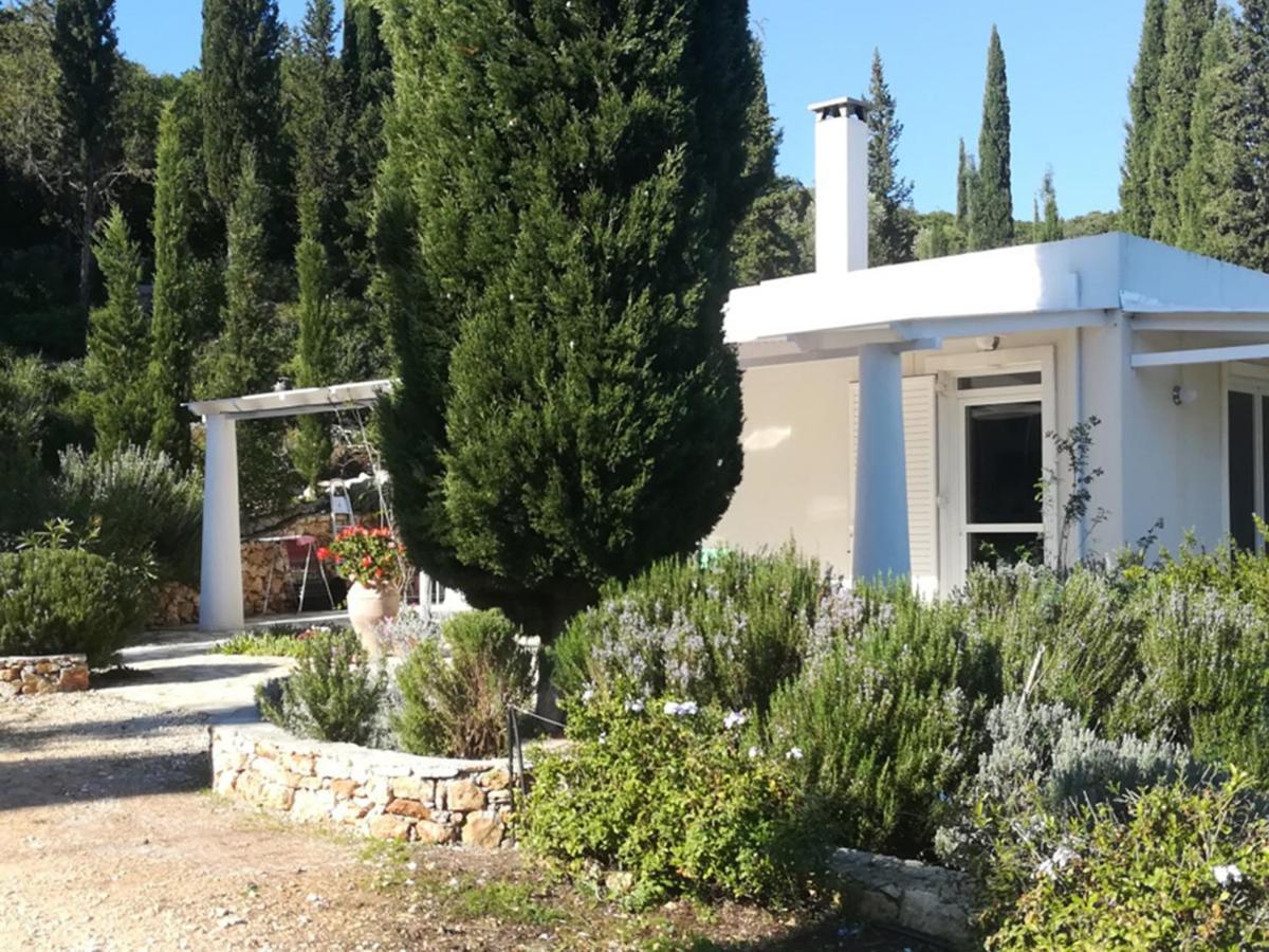 Buras Villa