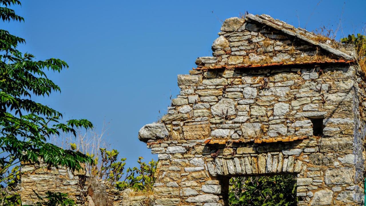 Armonia House *