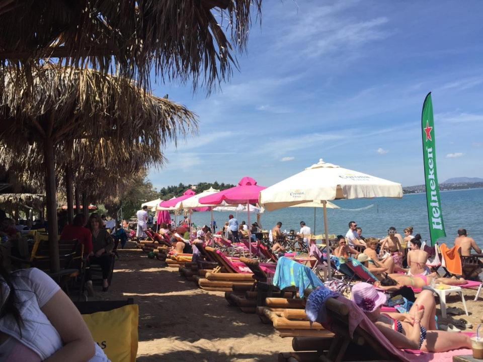 Beautiful Summer In Chalkoutsi *