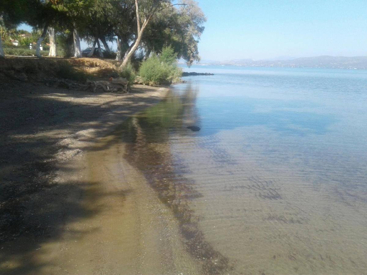 Beautiful Summer In Chalkoutsi Villa Khalkoutsion