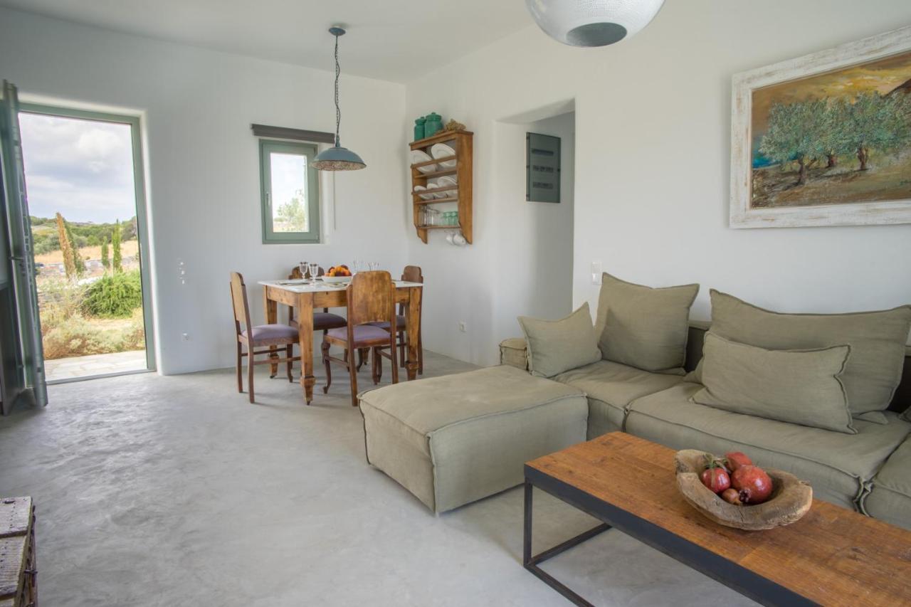 Joy With Private Pool, Close To Naoussa Villa
