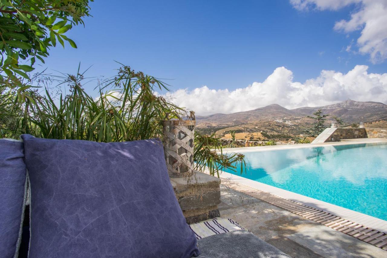 Joy With Private Pool, Close To Naoussa