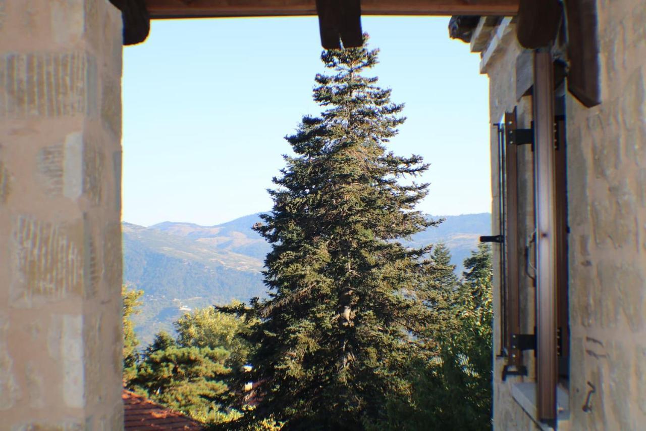 Villa Aelia Synikia Mesi Trikalon