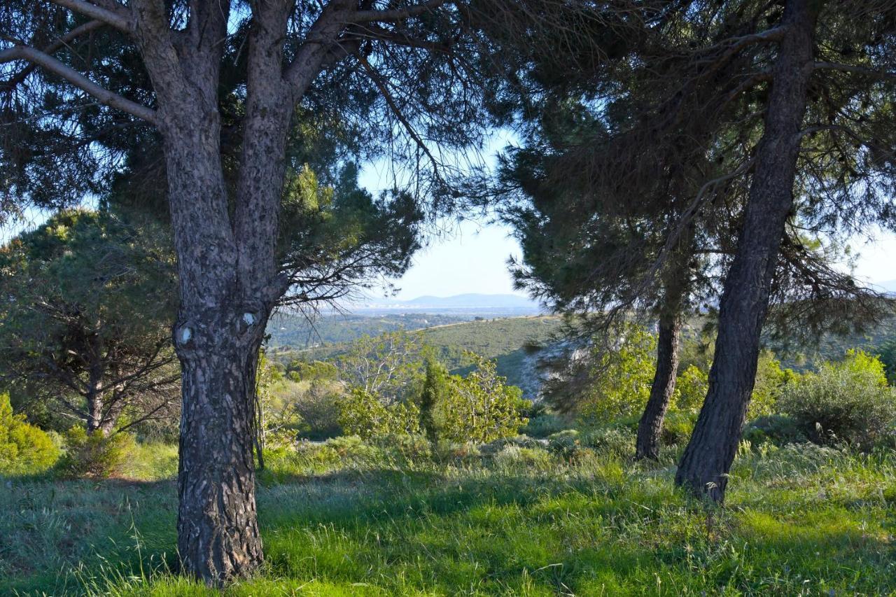 Villa Priamos Kalitehnoupoli