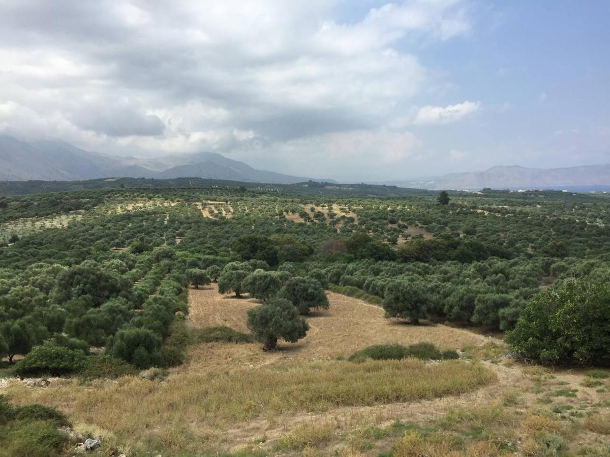Charming With View Country house Episkopi (Rethymno)