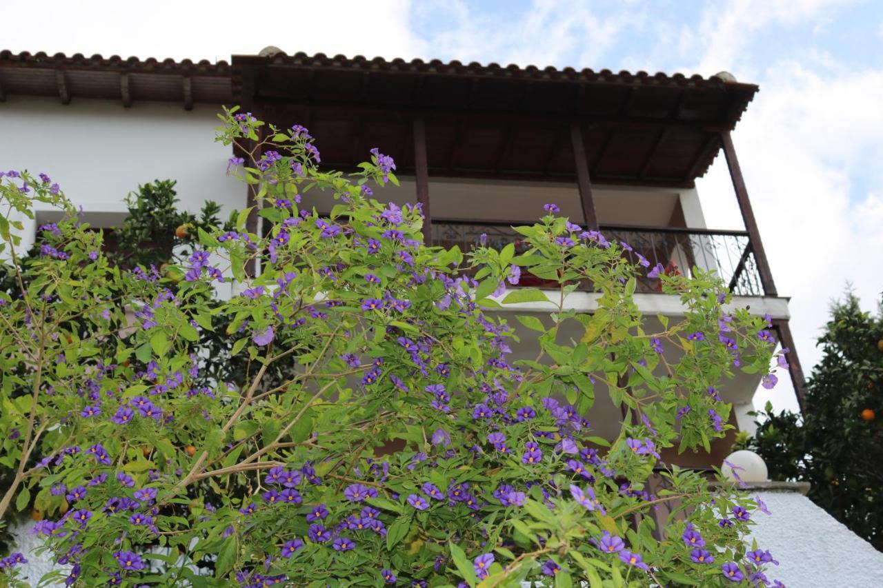 Sofia Holiday home Marathos (Thessaly)