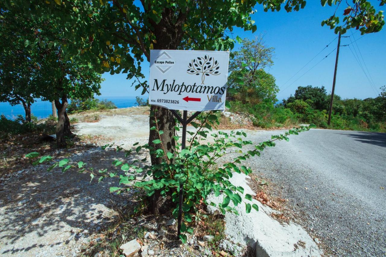 Villa Luxury Mylopotamos Tsagarada