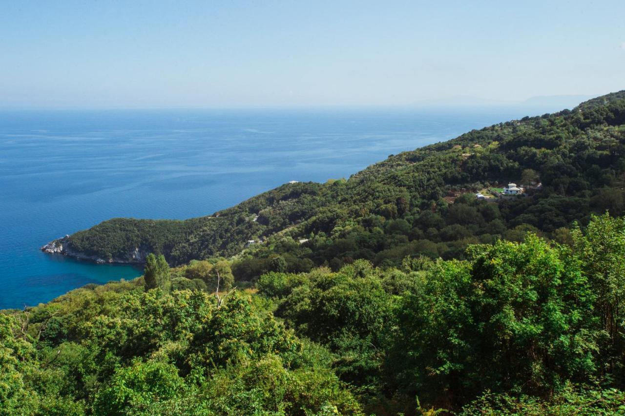 Luxury Mylopotamos Villa *