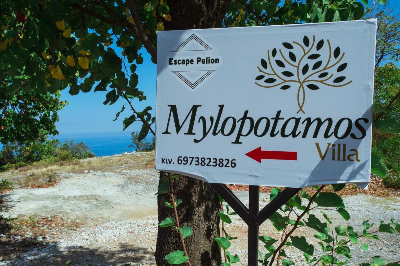Villa Luxury Mylopotamos *
