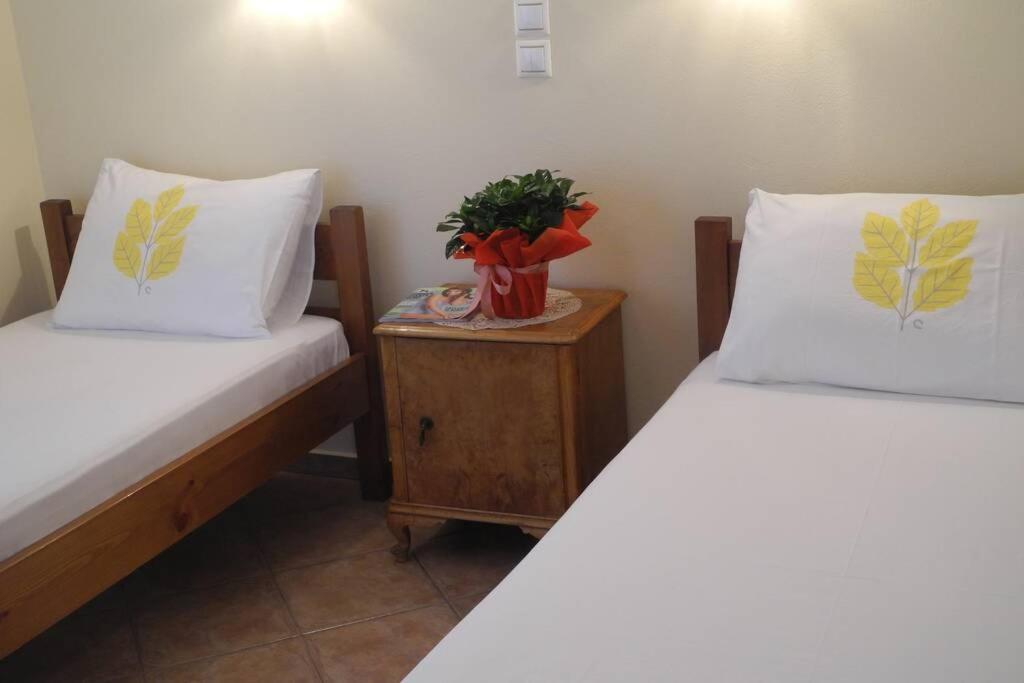 Chrisevgeni With Elevator Holiday home Argostoli (Kefalonia)