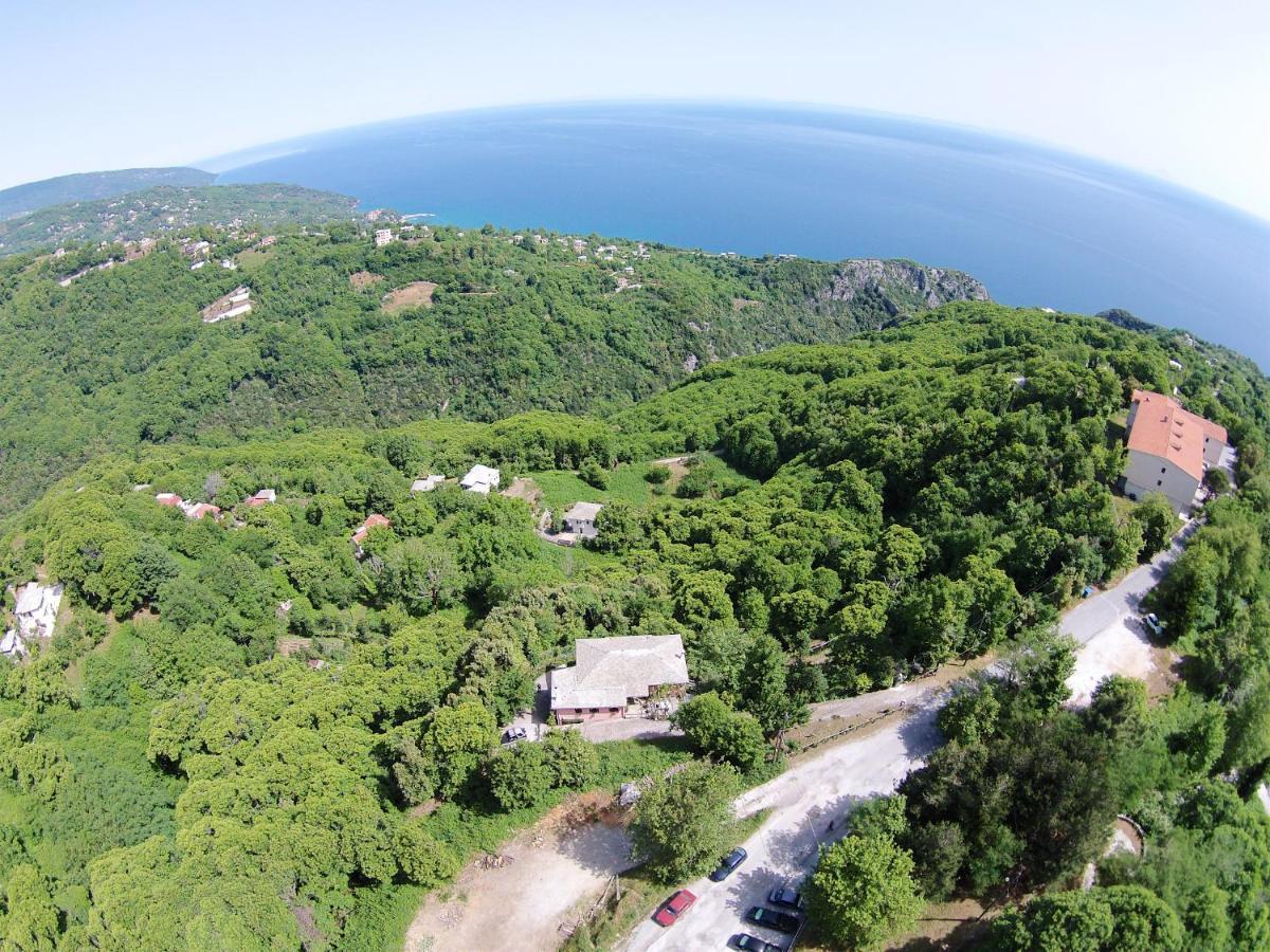 Guest house Horizon *