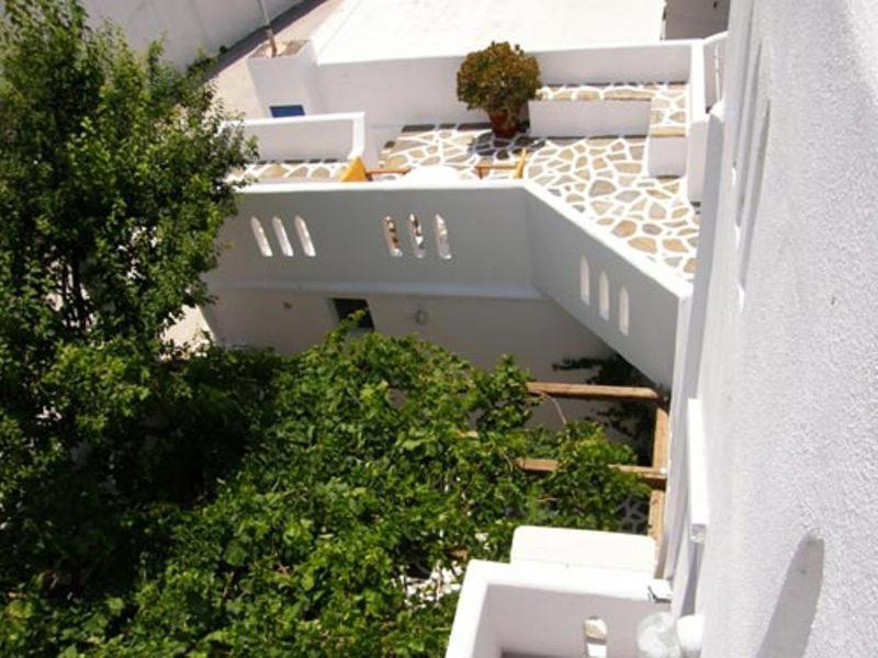Jasmine Parikia (Paros)