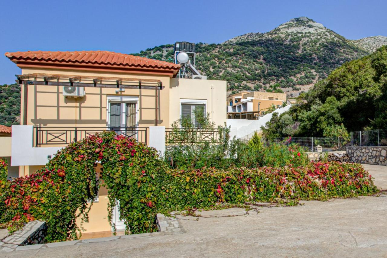 Vadim Villa *