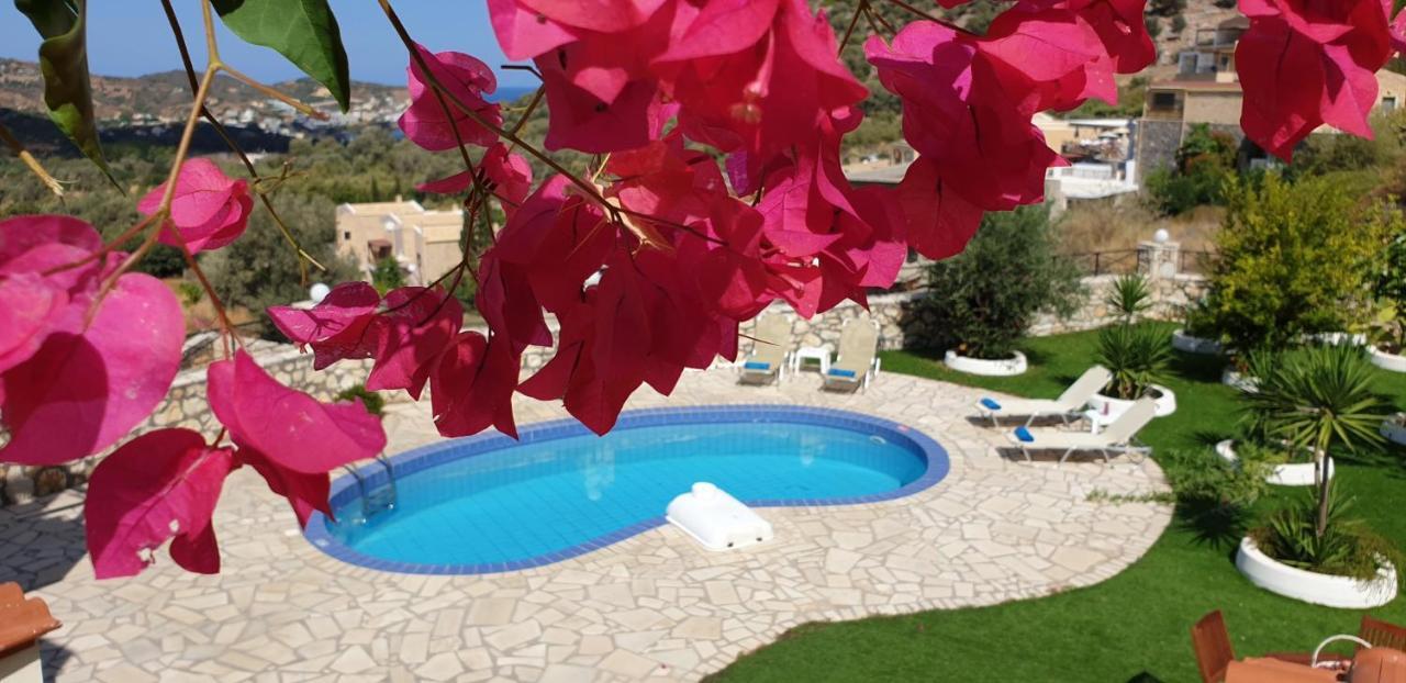 Vadim * Bali (Crete)