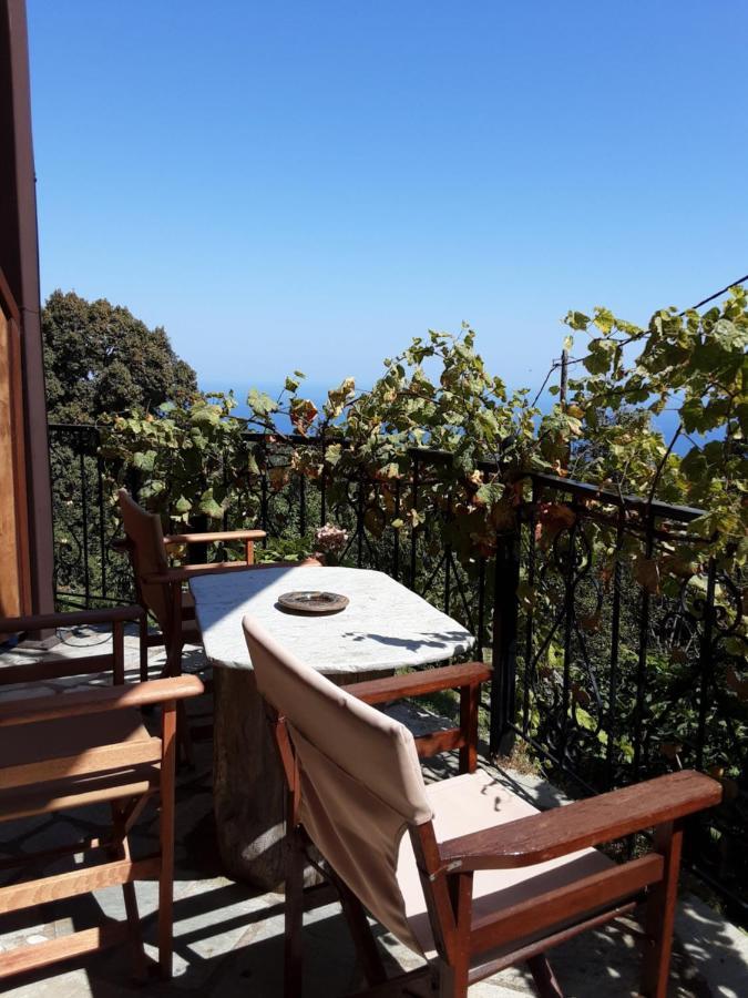 Iris Guest house