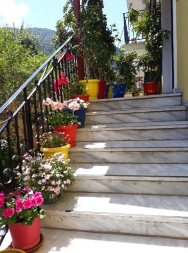 Margaritas' Apartment Agios Gordios (Corfu)
