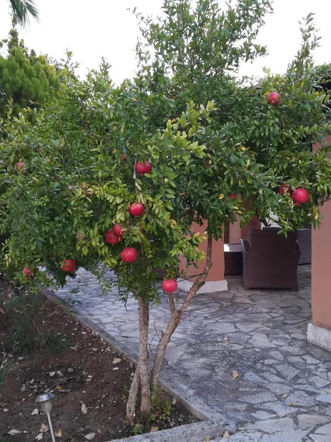 Corfu Golf Countryhouse