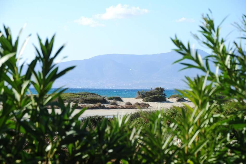 Glyfada Sea View Kastraki (Naxos)