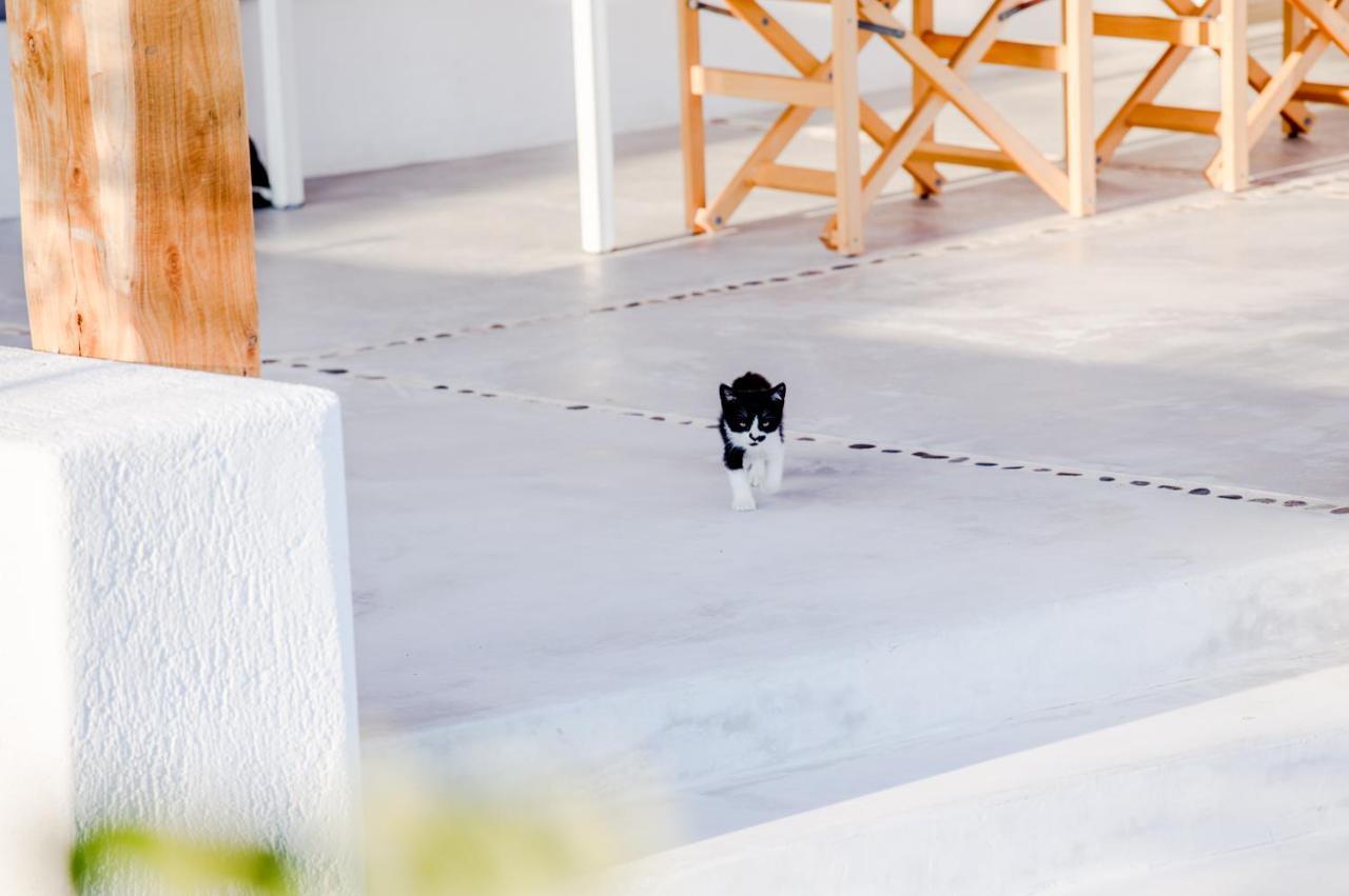 Holiday home Agnandi Cielo Tourlos