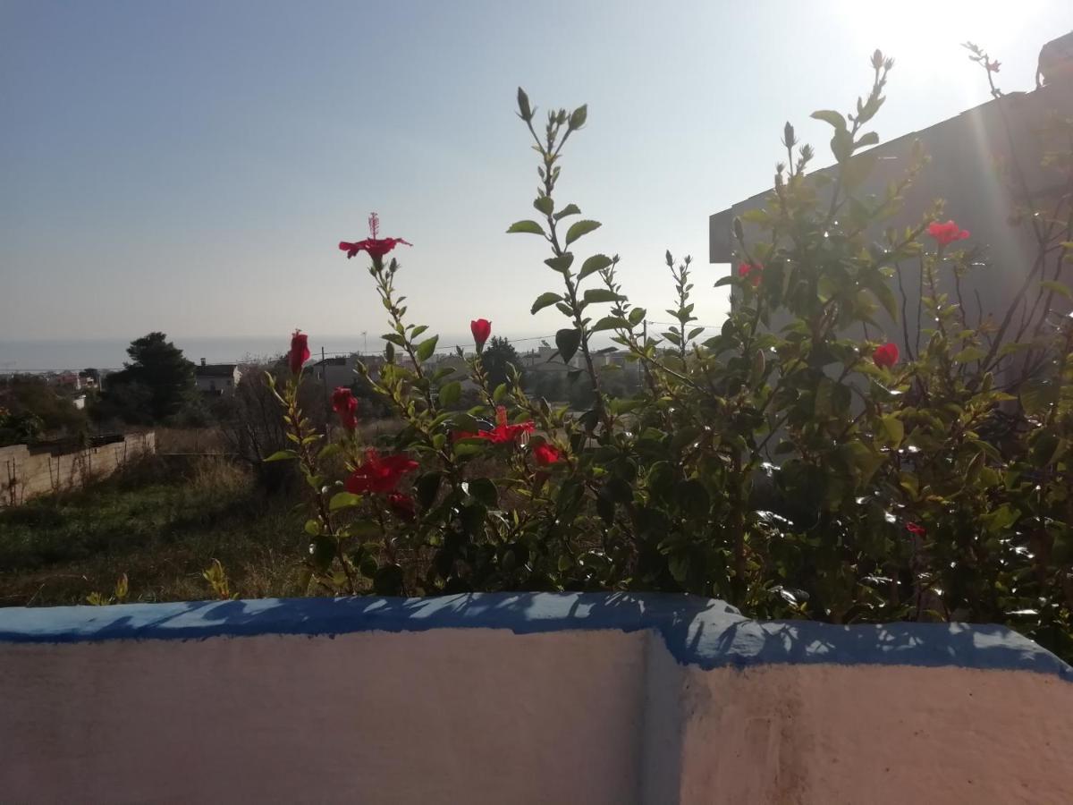 Airport View House Artemida (Attica)