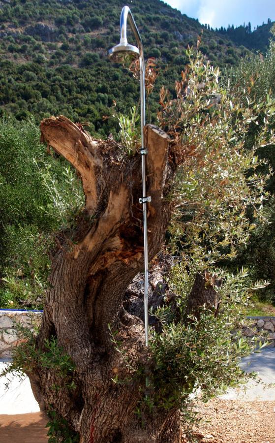 Holiday home Galini Mikros Gialos