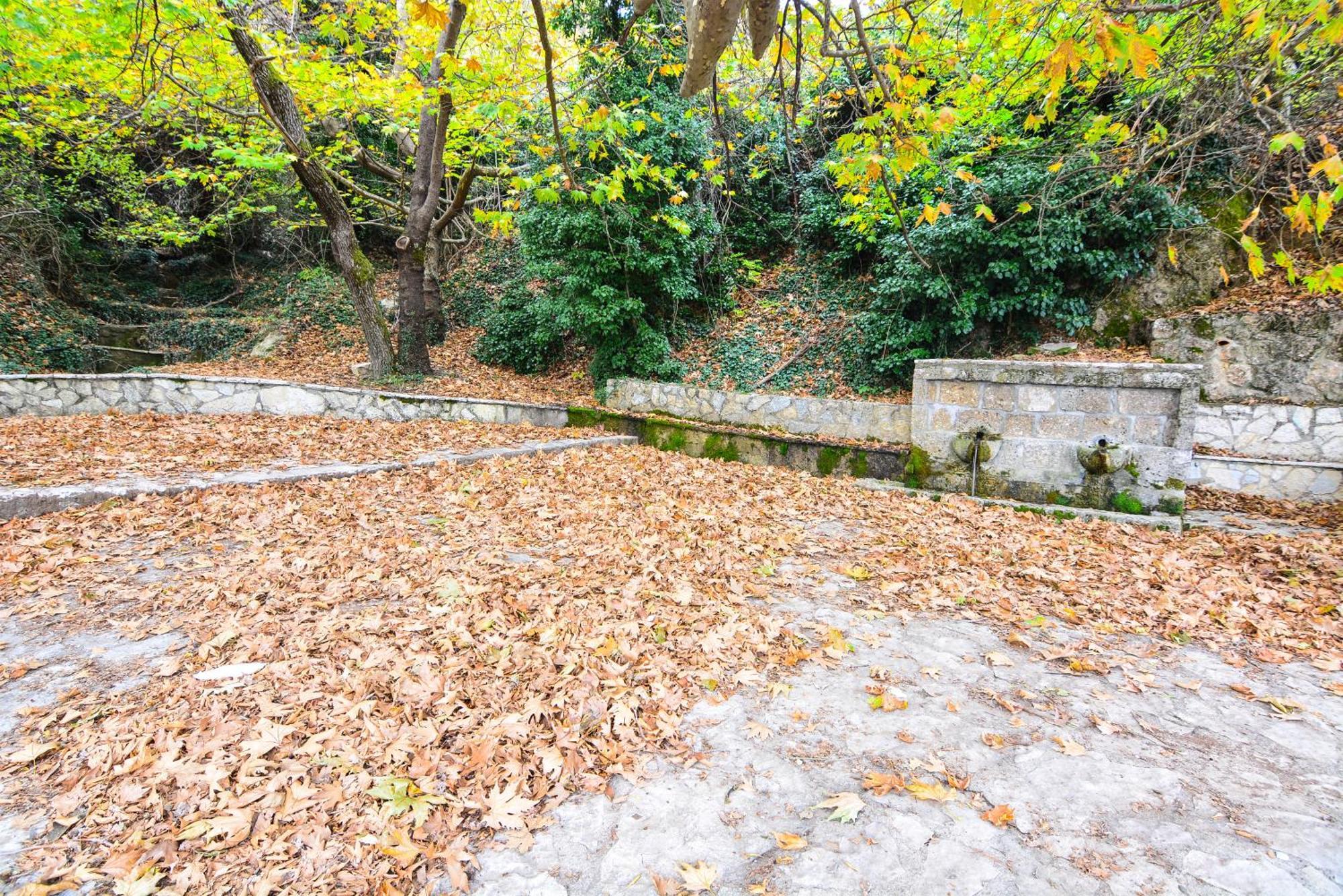 The Theater Of Dreams Holiday home Synikia Mesi Trikalon