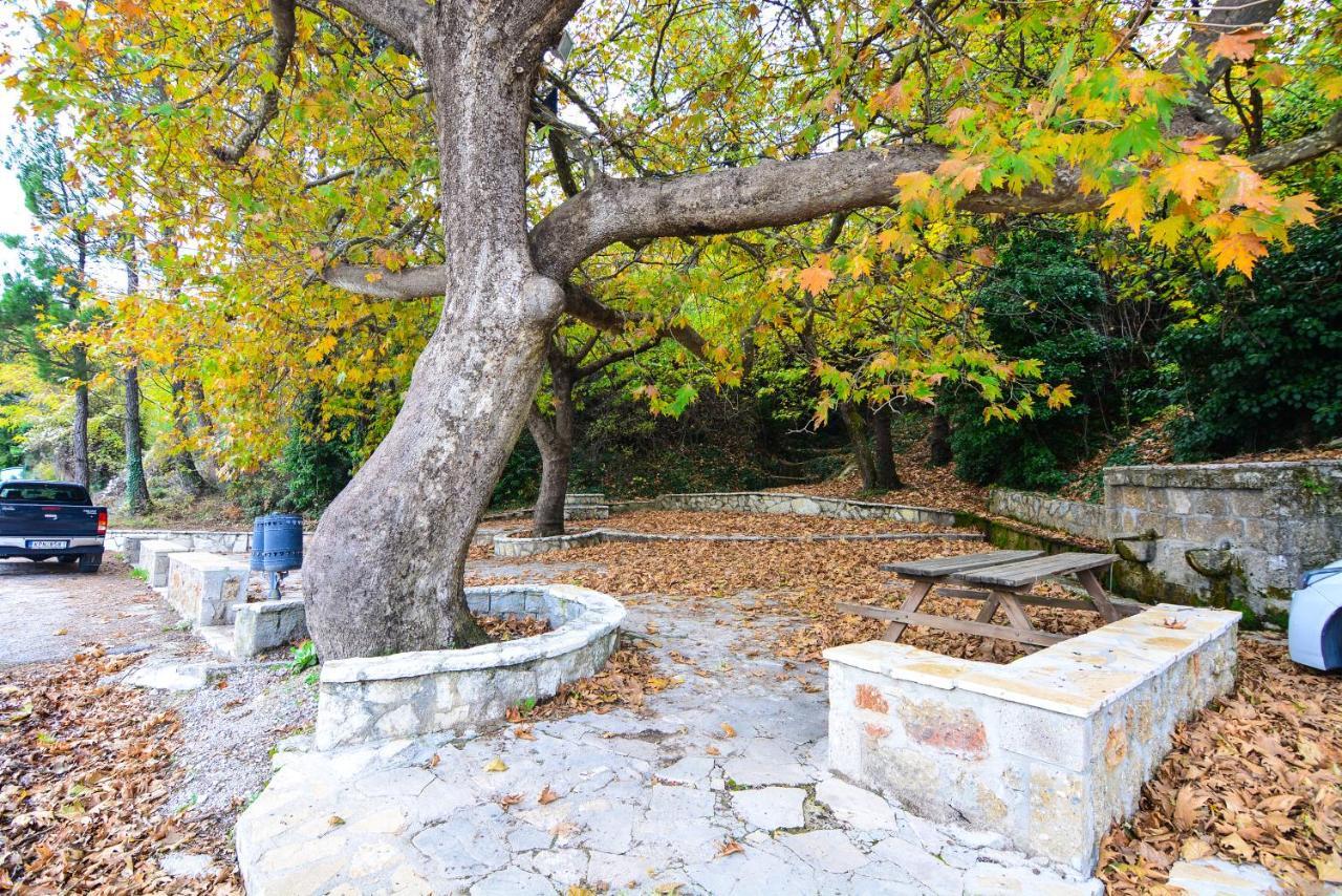 Holiday home The Theater Of Dreams Synikia Mesi Trikalon