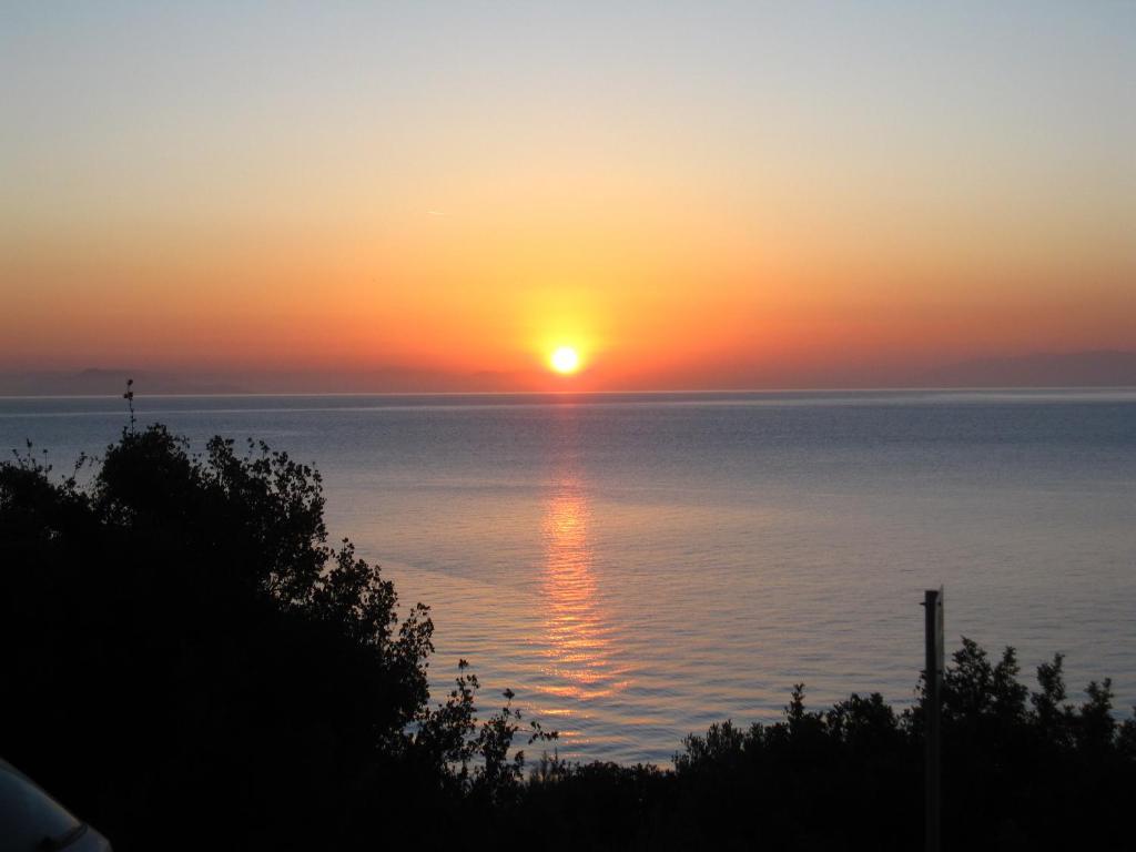 Travlos Eleios-Pronnoi