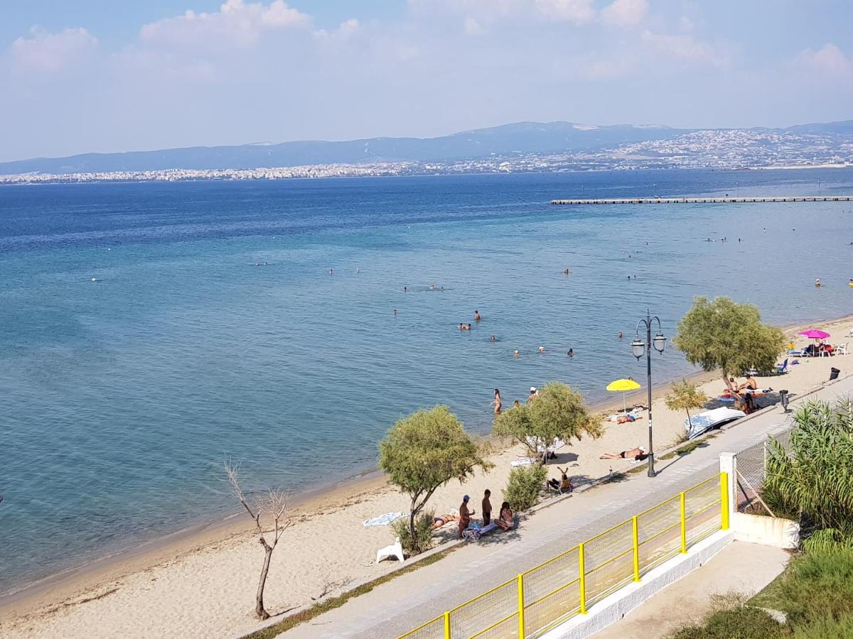 Perea Silvi Peraia (Thessaloniki)