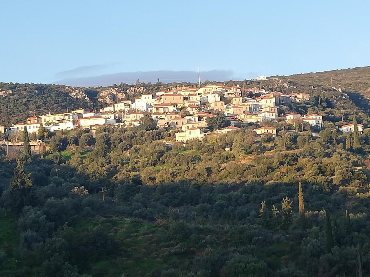 The Traditional Hause With The View *