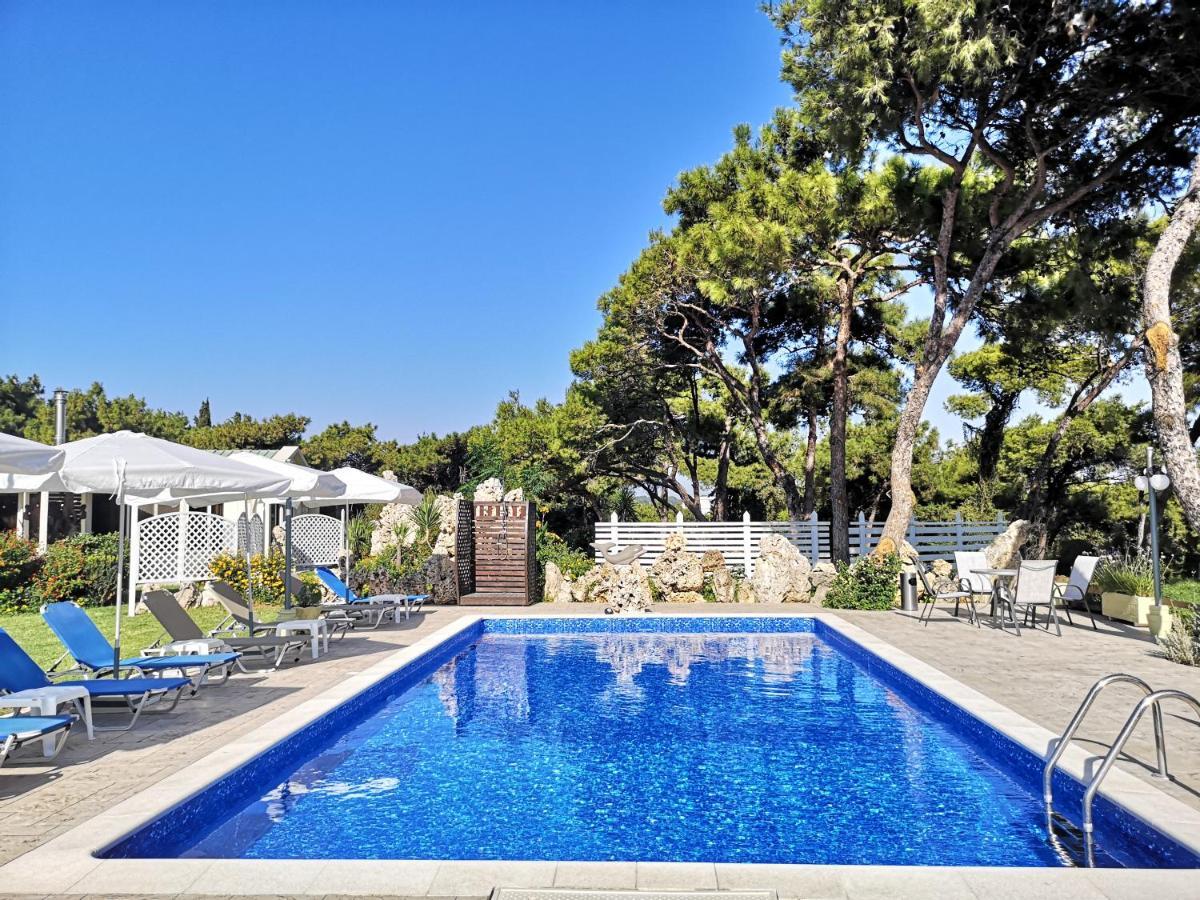 Louis Luxury By Living In Blue *
