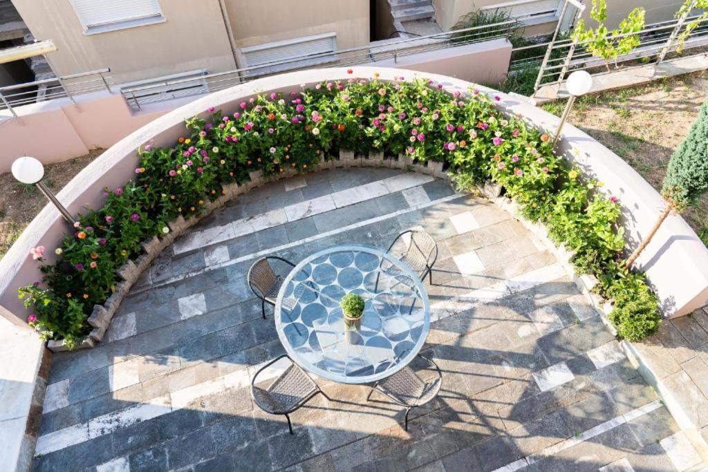 Anthemia Luxury *