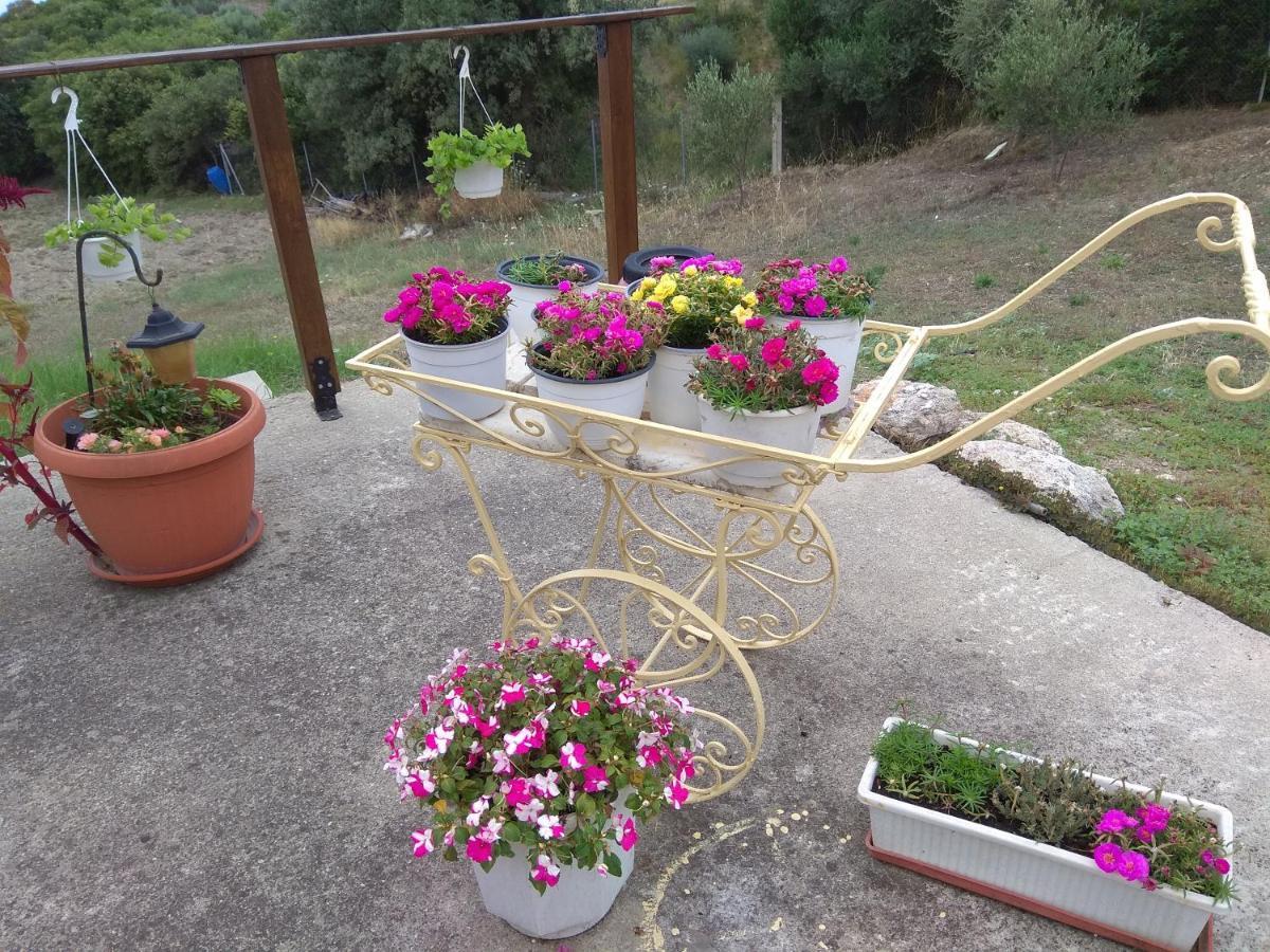 At Alexandroupoli Holiday home *