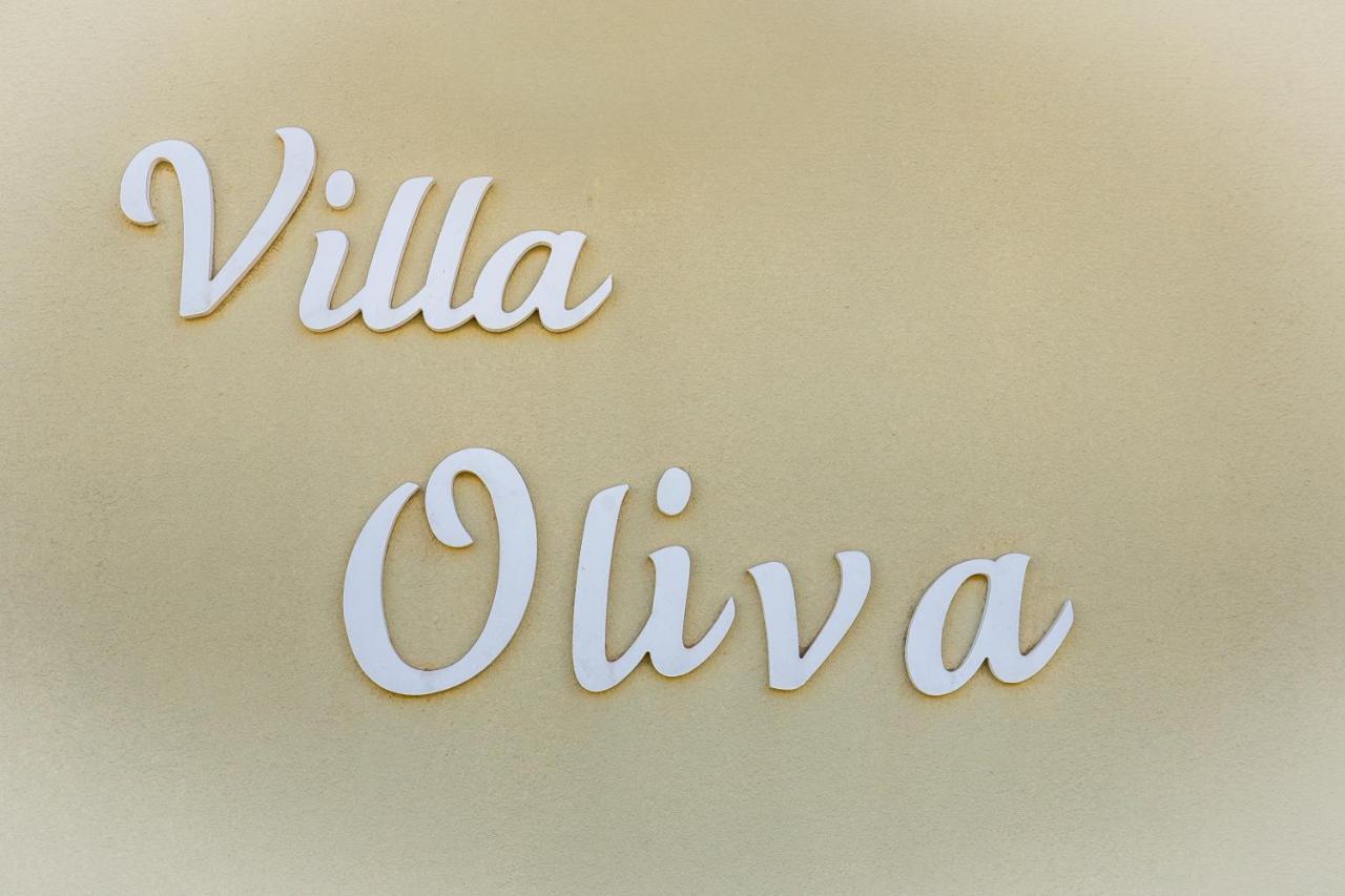 Oliva *