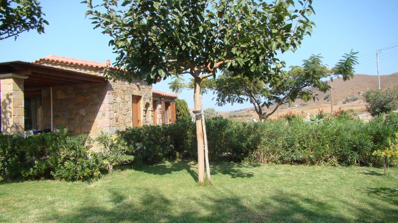 Caviro On The Holiday home *