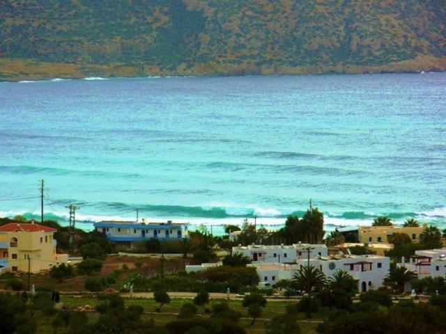 Horizon View