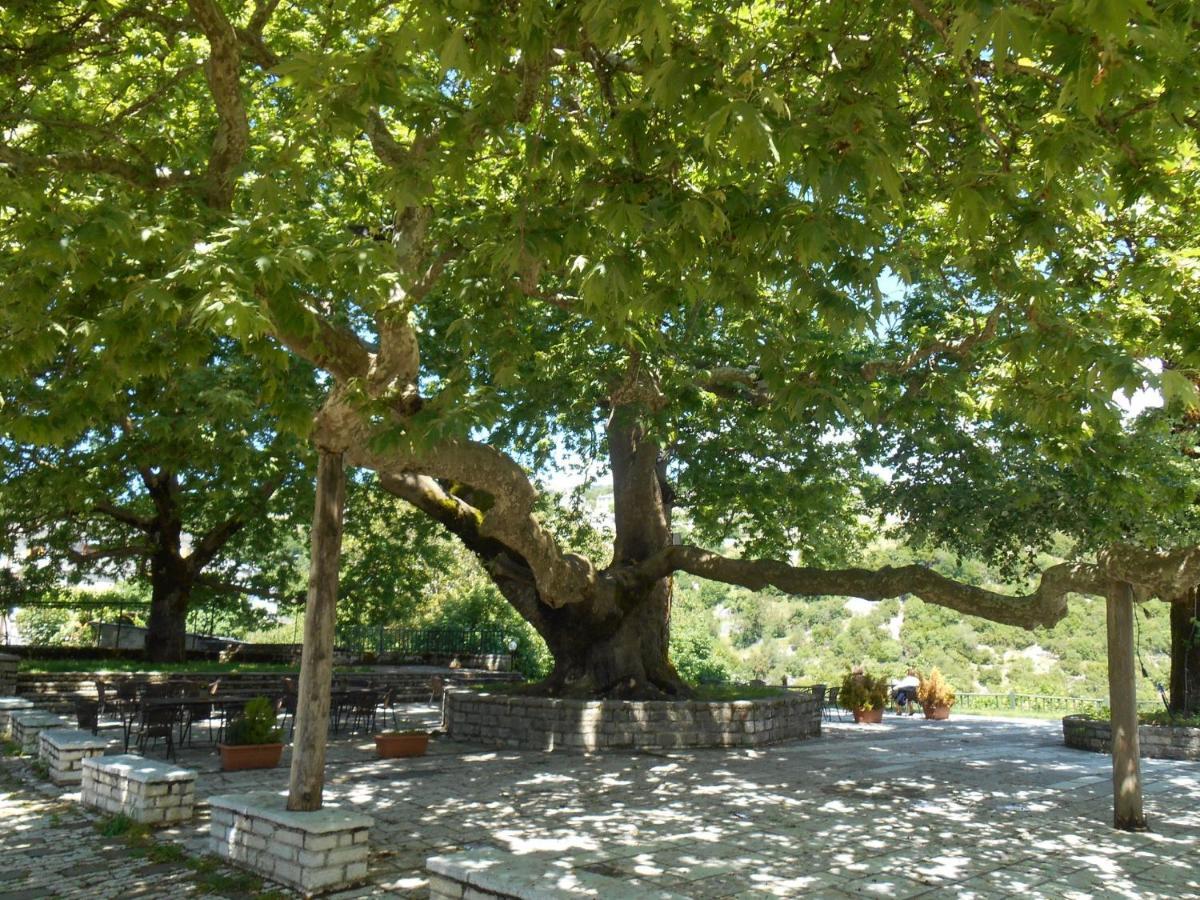 Archontiko Evridikis Guest house *