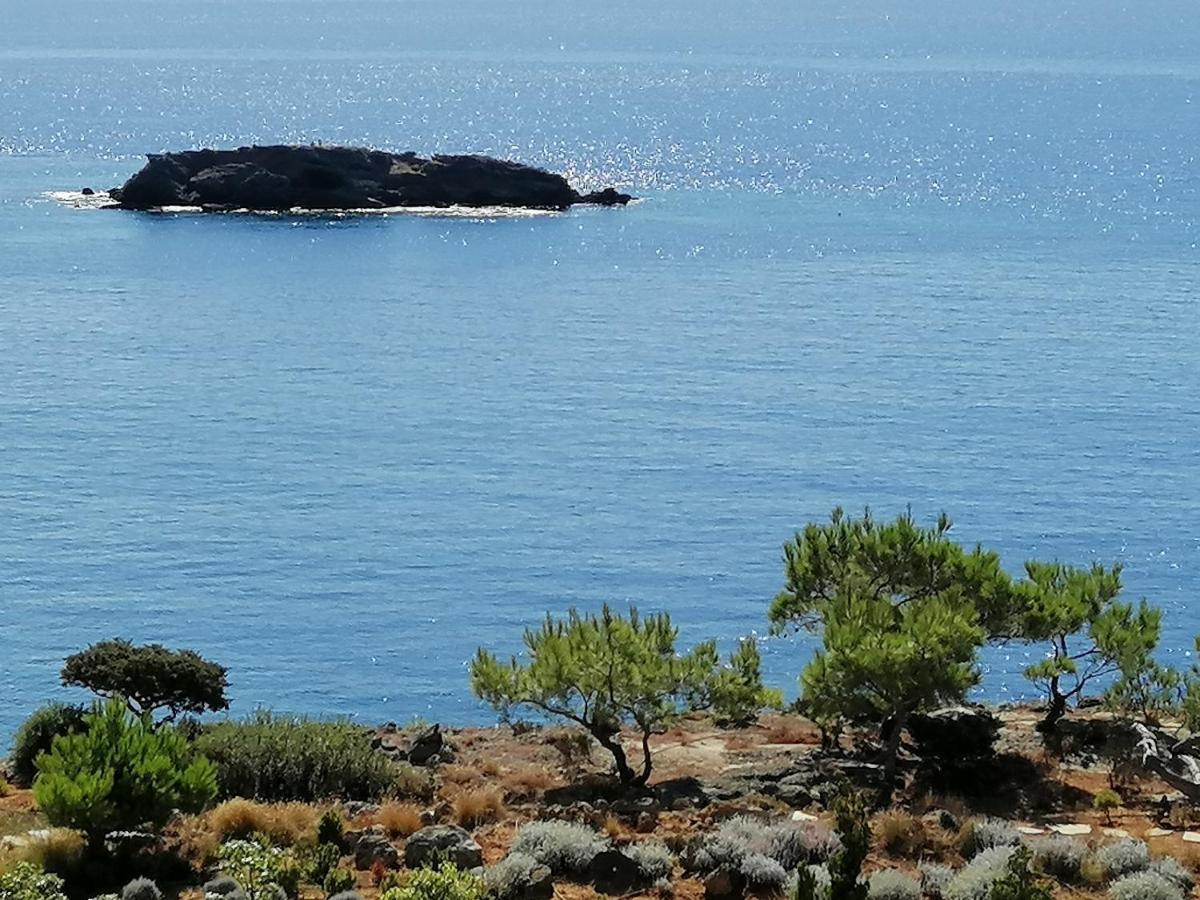 Ferma Solaris Apartment Agia Fotia (Ierapetra)