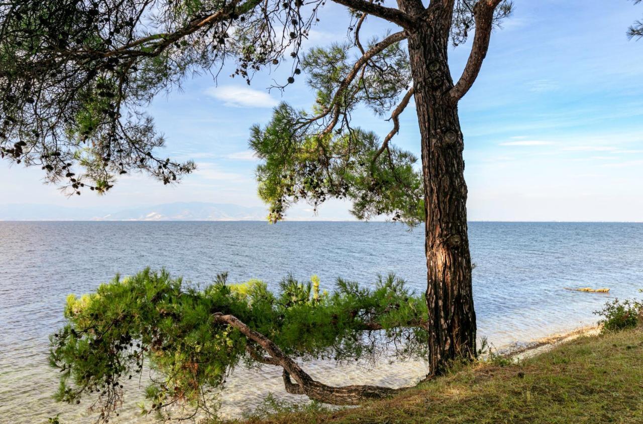 Holiday home Pinereef Blue Skala Rachoni (Thasos)
