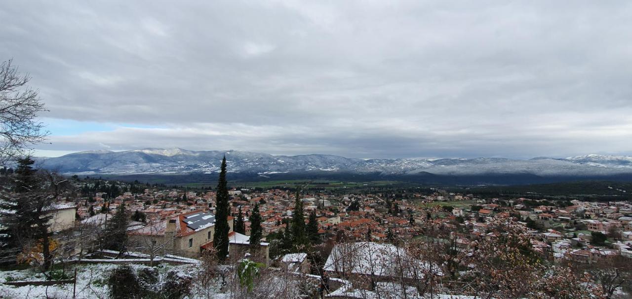 Hotel Kyriaki & 4*